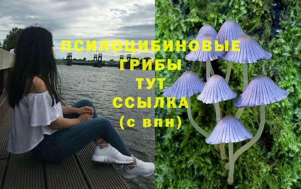 первитин Алзамай