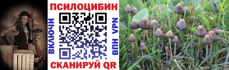 сколько стоит  Усолье-Сибирское  Галлюциногенные грибы мицелий 